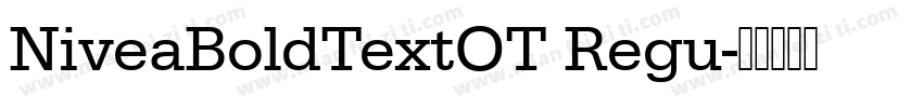 NiveaBoldTextOT Regu字体转换